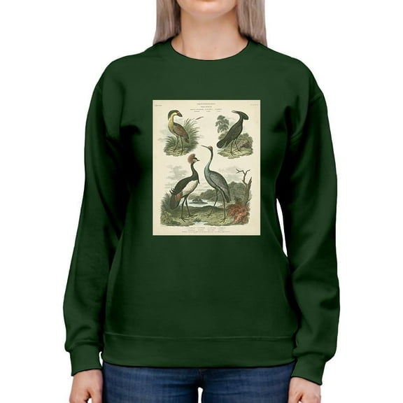 Heron And Crane Ii Sweatshirt Women -Sydenham Edwards Designs, Female 5X-Large