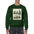 thumbnail image 1 of Heron And Crane Sweatshirt Men -Sydenham Edwards Designs, Male 5X-Large, 1 of 4