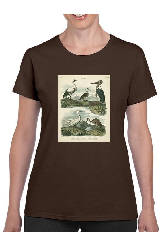 Heron And Crane T-Shirt Women -Sydenham Edwards Designs, Female XX-Large