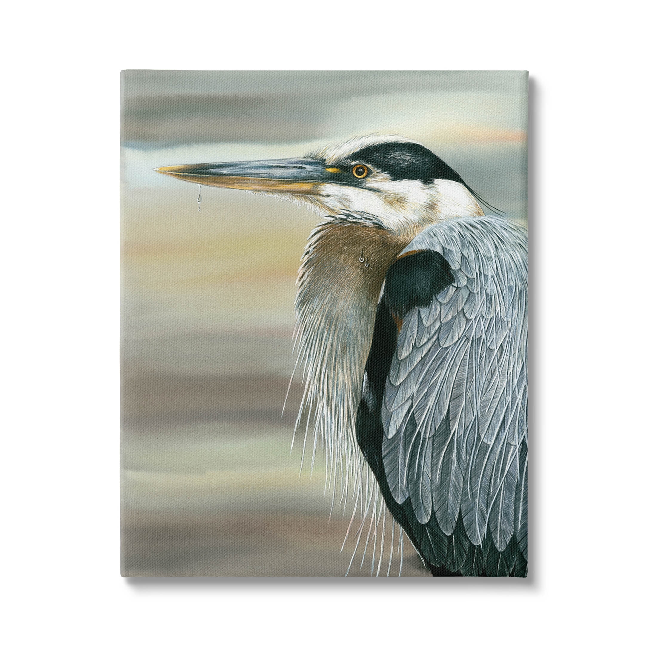 Heron Bird Feather Portrait Animals & Insects Graphic Art Gallery Wrapped Canvas Print Wall Art