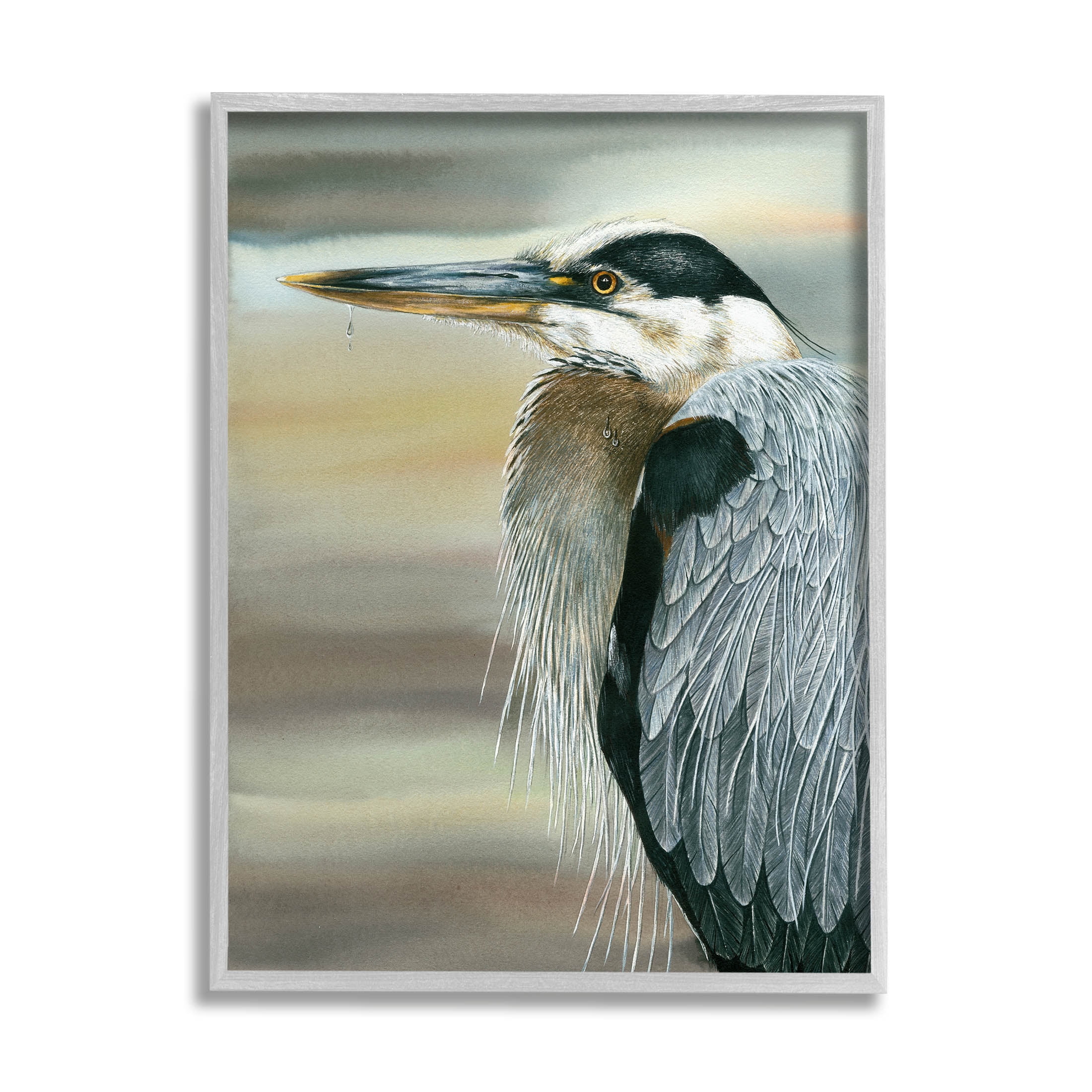 Gray Framed Heron Bird Feather Portrait Wood Wall Art