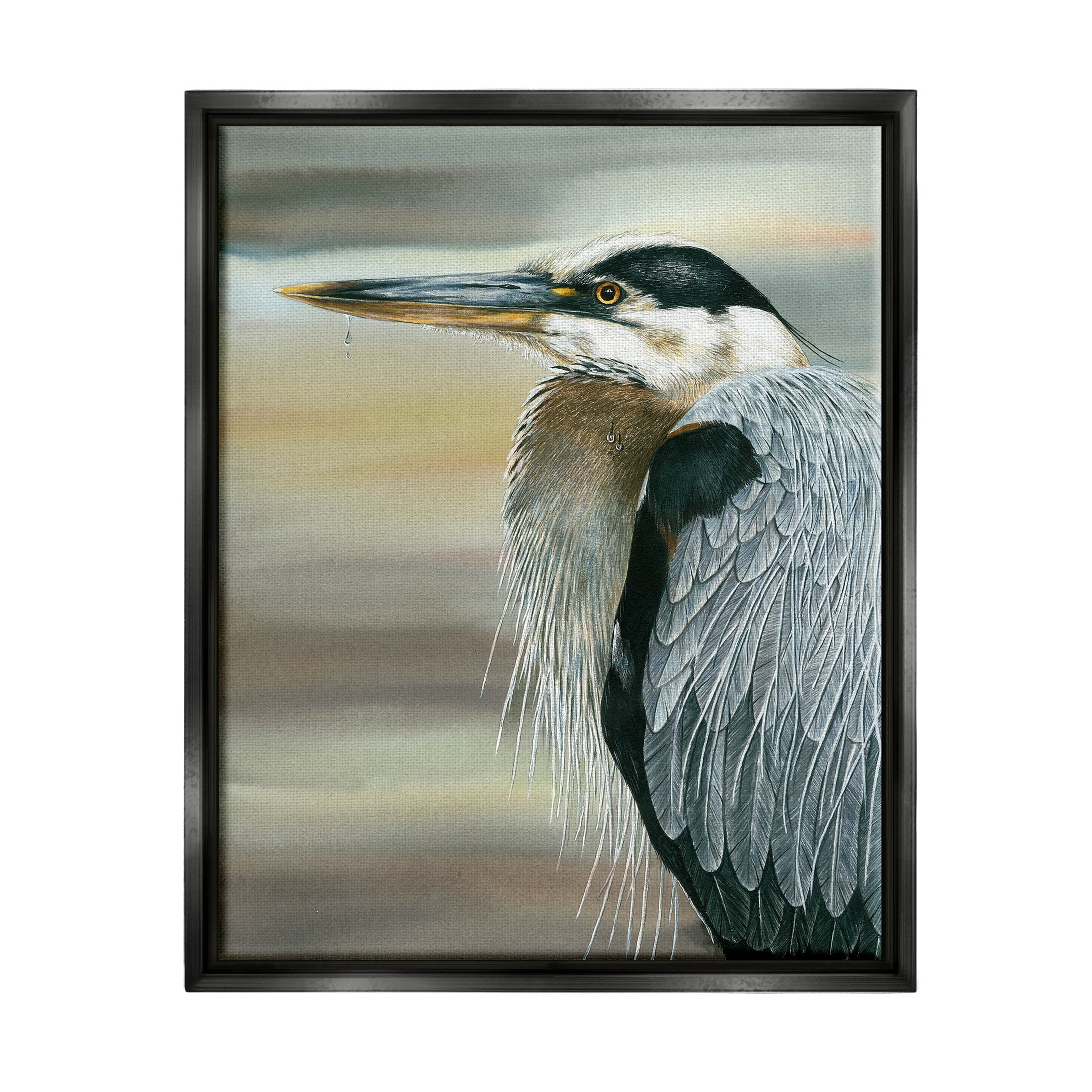 Heron Bird Feather Portrait Animals & Insects Graphic Art Jet Black Framed Art Print Wall Art
