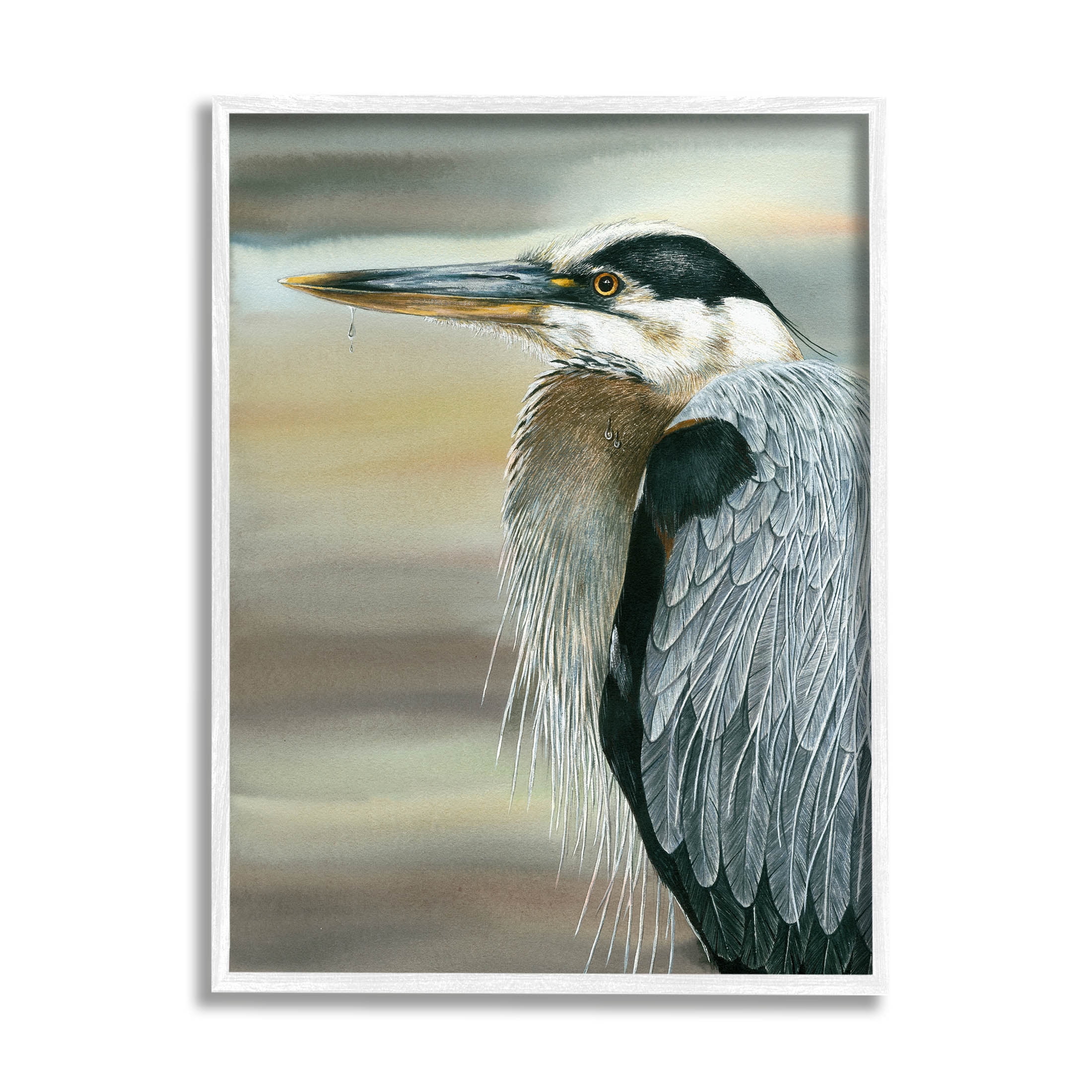 Heron Bird Feather Portrait Animals & Insects Graphic Art White Framed Art Print Wall Art