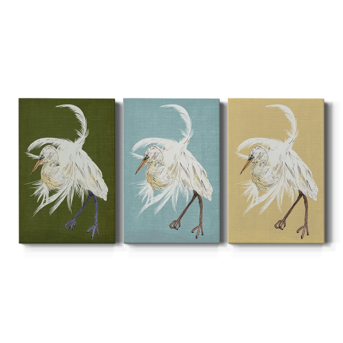 Heron Plumage II Premium Gallery Wrapped Canvas - Ready to Hang - 12 x 18 Each