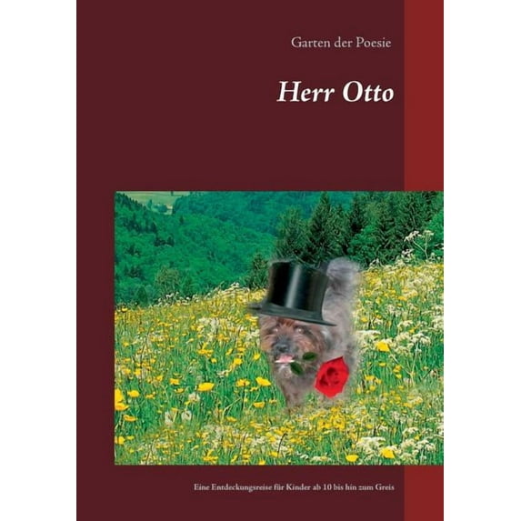 Herr Otto: Eine Entdeckungsreise für Kinder ab 10 bis hin zum Greis, (Paperback)