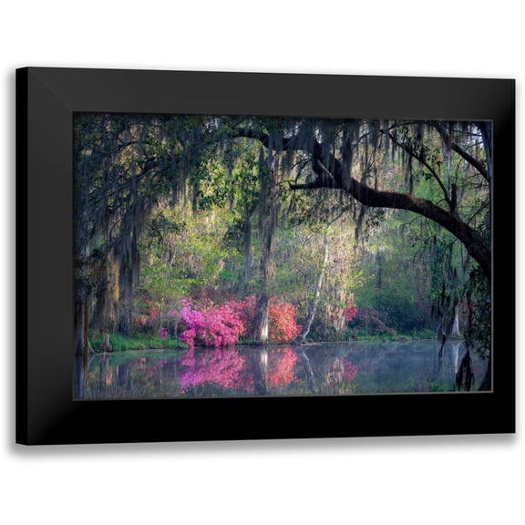 Herrera, H.J. 14x11 Black Modern Framed Museum Art Print Titled - Morning Serenity