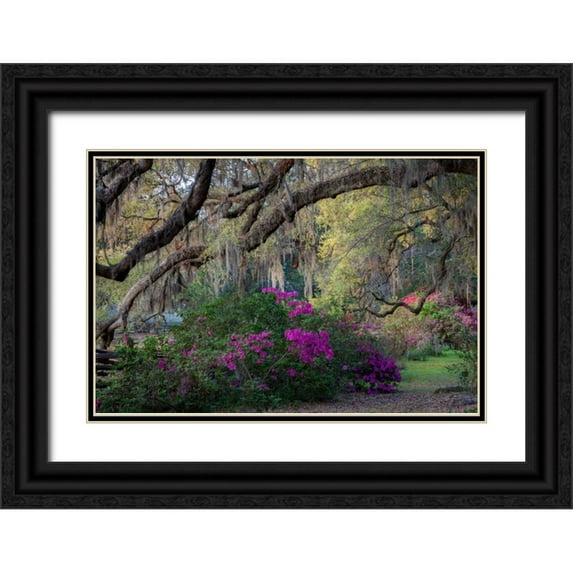 Herrera, H.J. 18x13 Black Ornate Wood Framed with Double Matting Museum Art Print Titled - Oaks and Azaleas