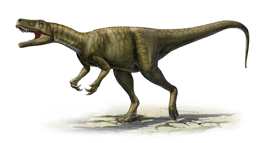 Herrerasaurus ischigualastensis a prehistoric era dinosaur Canvas Art - Sergey KrasovskiyStocktrek Images (38 x 21)