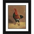 thumbnail image 1 of Herring, John Frederick 12x14 Black Ornate Wood Framed with Double Matting Museum Art Print Titled - Fighting Cocks-a Dark-Breasted Fighting Cock-Facing Left, 1 of 4