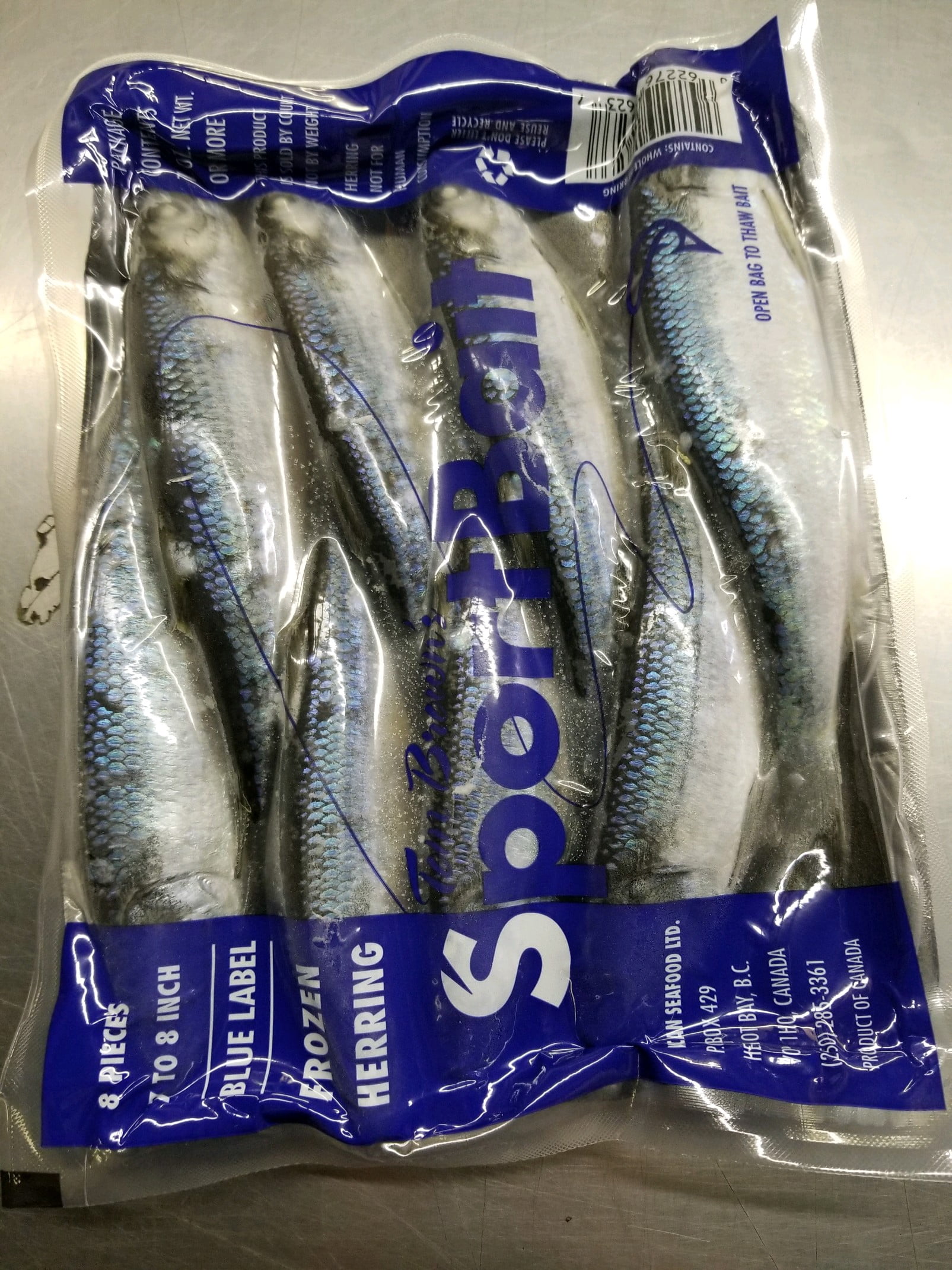 Herring Blue 7-8 In Premium Frozen Bait for Salmon Trout