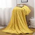 thumbnail image 1 of Herrnalise Fleece Throw Blankets,Soft Flannel Blanket for Bed,47x79 inch Solid Color Thickened Luxury Cozy Microfiber Plush Fuzzy Blanket Sofa Bedroom Throw Rug, 1 of 9