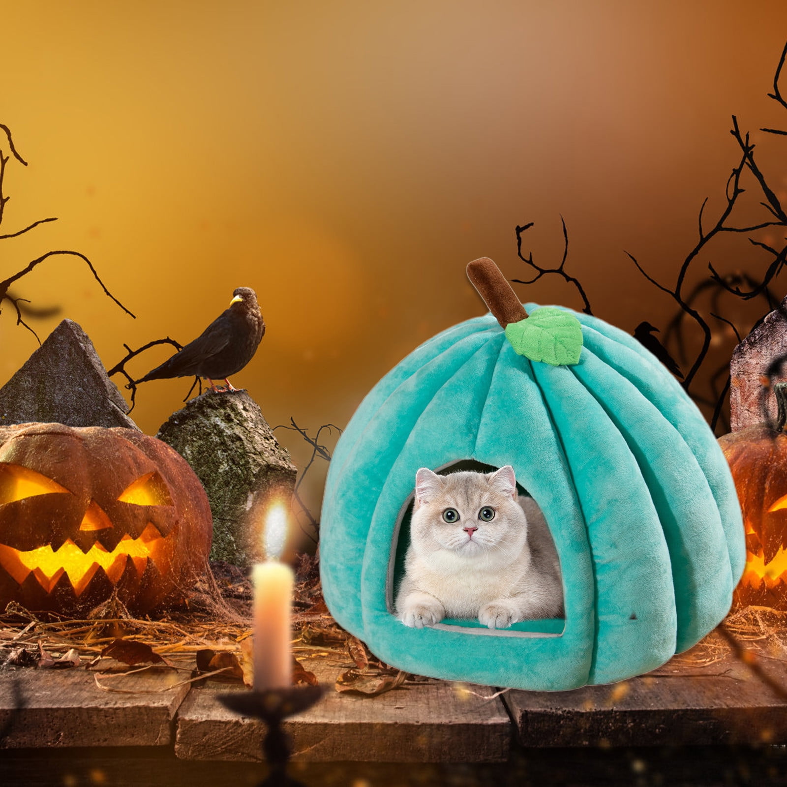 Herrnalise Halloween Pumpkin Cat House,16