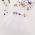 thumbnail image 1 of Herrnalise Toddler Baby Girls Sleeveless Floral Tulle Dress Flower Princess Dresses, 1 of 4