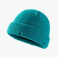 thumbnail image 1 of Herrnalise Winter Hats For Men And Women Woolen Earmuffs Warm Woolen HatDome Flanging Knitted Hat, 1 of 6