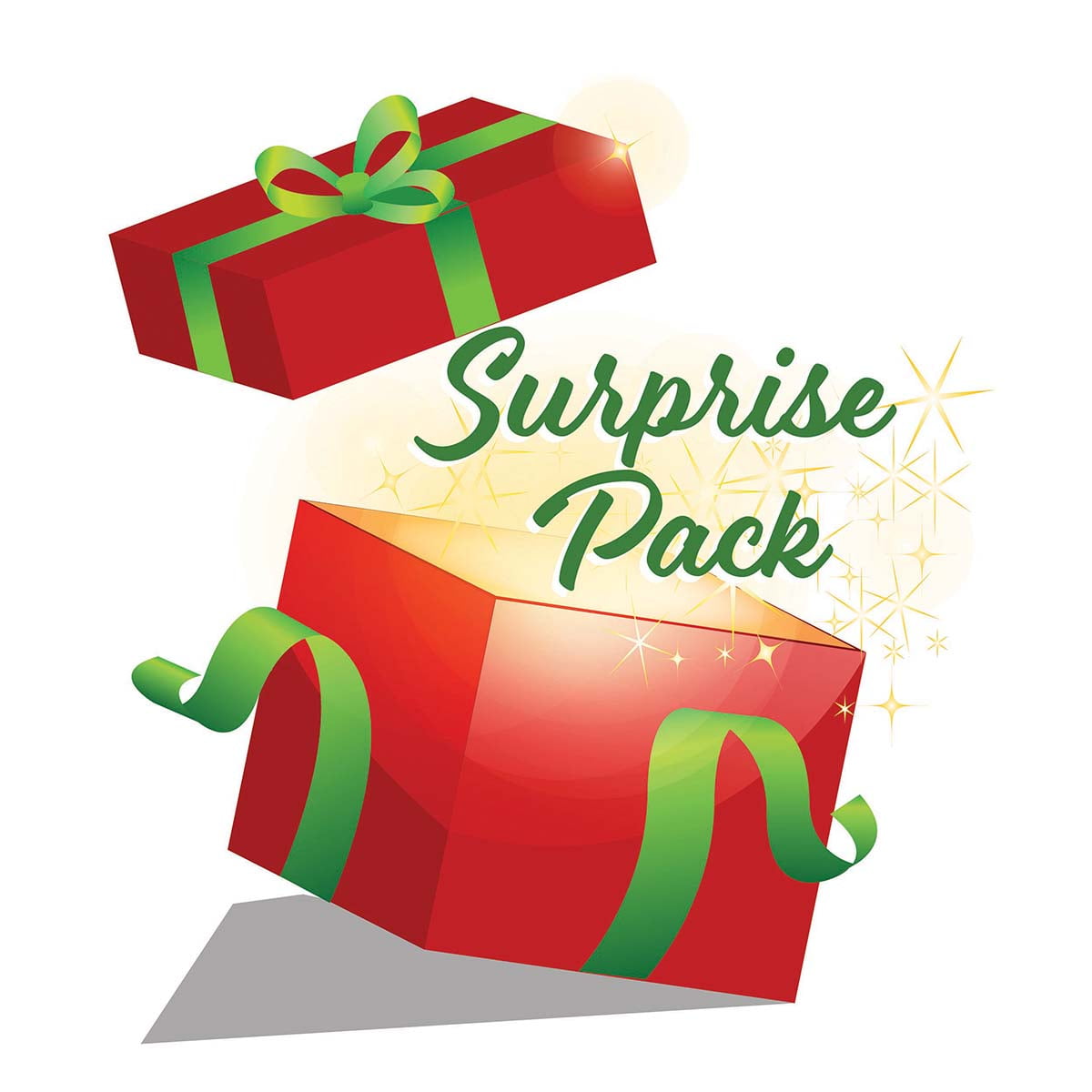 Herrschners® Christmas Surprise Pack Craft Kit