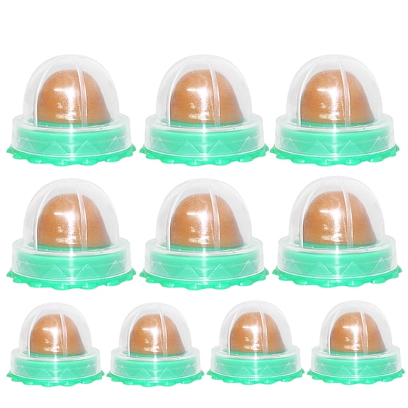 Hersfrd 10Pcs Catnip Wall Ball Cat Nip Treats Cat Snacks Candy Ball for Help Digestion