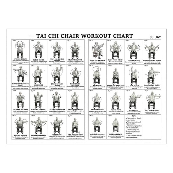 Hersfrd 11.81 X 17.72 Inch Canvas Tai Chi Chair Workout Chart Poster Hanging Seated Exercise Charts Easy Display Workout Exercise Chart Posters Foldable for Living Room Bedroom Home (Men Version)