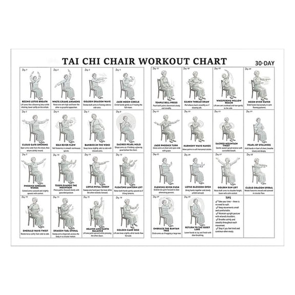 Hersfrd 11.81 X 17.72 Inch Canvas Tai Chi Chair Workout Chart Poster Hanging Seated Exercise Charts Easy Display Workout Exercise Chart Posters Foldable for Living Room Bedroom Home (Women Version)
