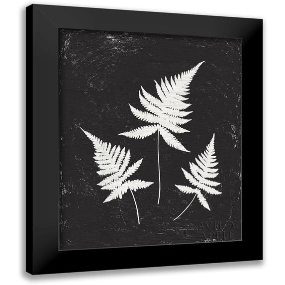 Hershey, Moira 12x14 Black Modern Framed Museum Art Print Titled - Forest Shadows IV Black Crop