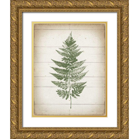Hershey, Moira 12x14 Gold Ornate Wood Framed with Double Matting Museum Art Print Titled - Fern Print I v2