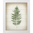 thumbnail image 1 of Hershey, Moira 12x14 White Modern Wood Framed Museum Art Print Titled - Fern Print I v2, 1 of 4
