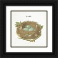 thumbnail image 1 of Hershey, Moira 20x20 Black Ornate Wood Framed with Double Matting Museum Art Print Titled - Spring Nest III Nest, 1 of 4
