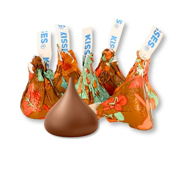 Hershey's Kisses Fall Themed Foil Milk Chocolate - 1 lb
