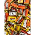thumbnail image 1 of Hershey's Special Dark Favorites Mini Chocolate Bars 3 Lbs Variety Assortment Mix Individually Wrapped In Resealable Bag 150+ Pieces (48 Oz), 1 of 4