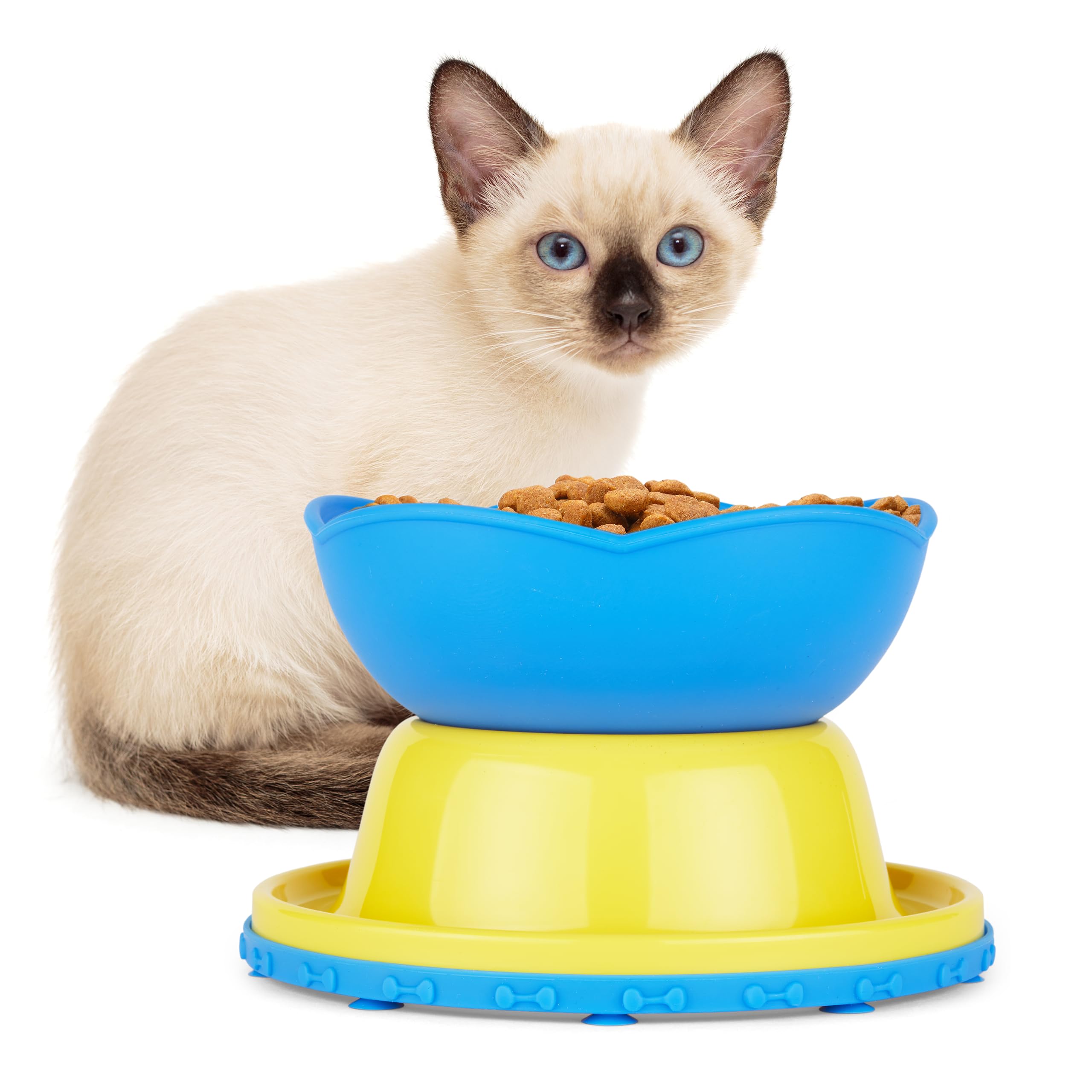 Kitty for Indoor Cats Savvy Cat Slow Feeder Dog Bowls Small Breed Dog