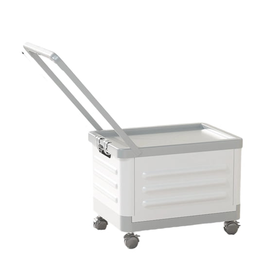 Herunwer Multi-Purpose Plastic Rolling Storage Cart, Large Capacity Mobile Organizer Box with Lid and Handle for Home, Office, Classroom