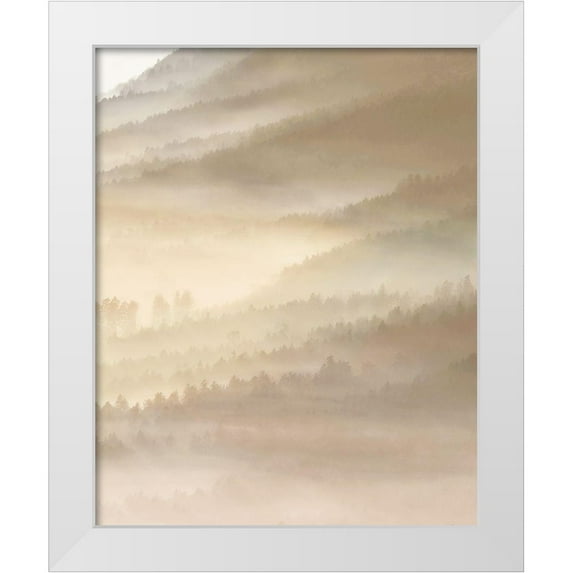 Herzog 26x32 White Modern Wood Framed Museum Art Print Titled - Fog Valley Il.