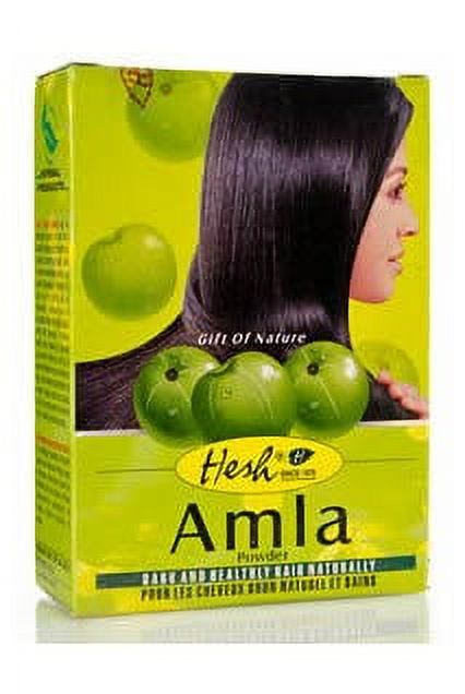 Hesh Amla Herbal Powder, 100 Gm - image 1 of 3