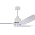 thumbnail image 1 of Heshor 56 in. 1-Light Indoor White Finish Ceiling Fan with Light Kit, 1 of 3