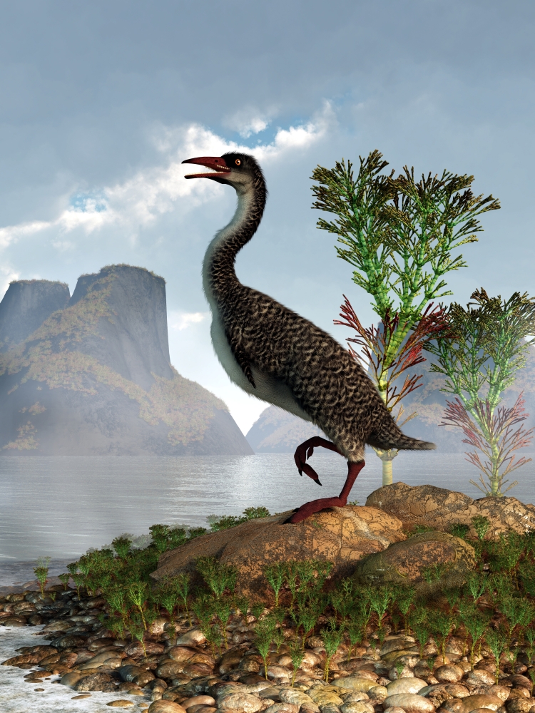 Hesperornis on the shore of a lake looking around Canvas Art - Daniel EskridgeStocktrek Images (25 x 33)