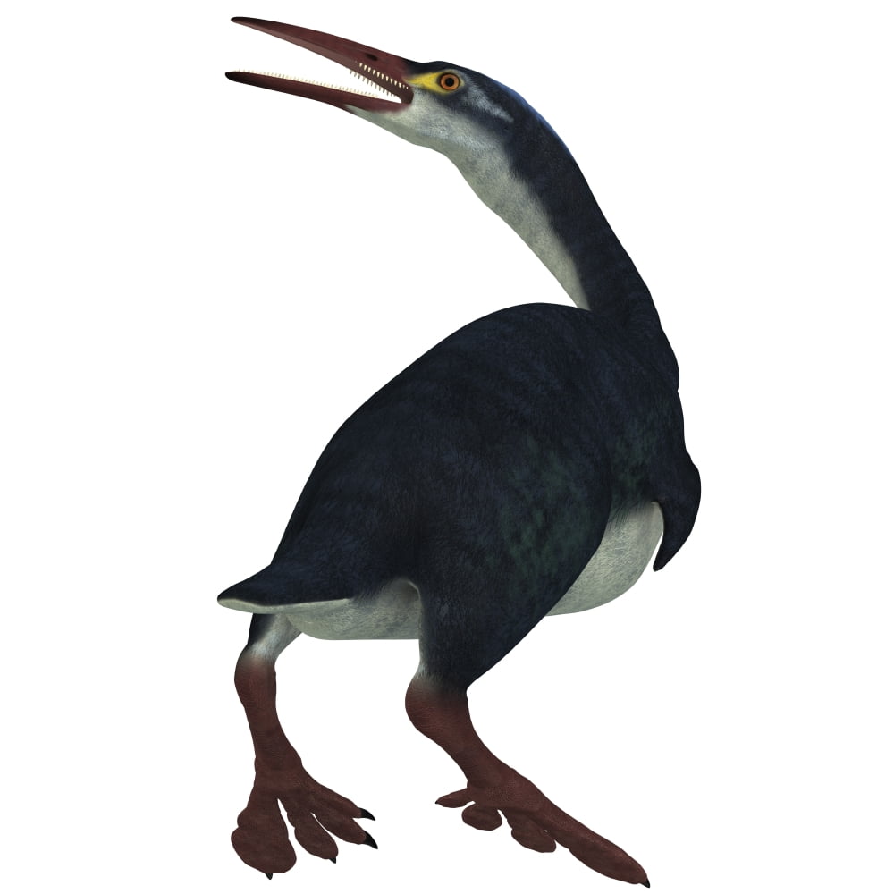 Hesperornis was a a flightless bird that lived during the Cretaceous Period Canvas Art - Corey FordStocktrek Images (29 x 29)