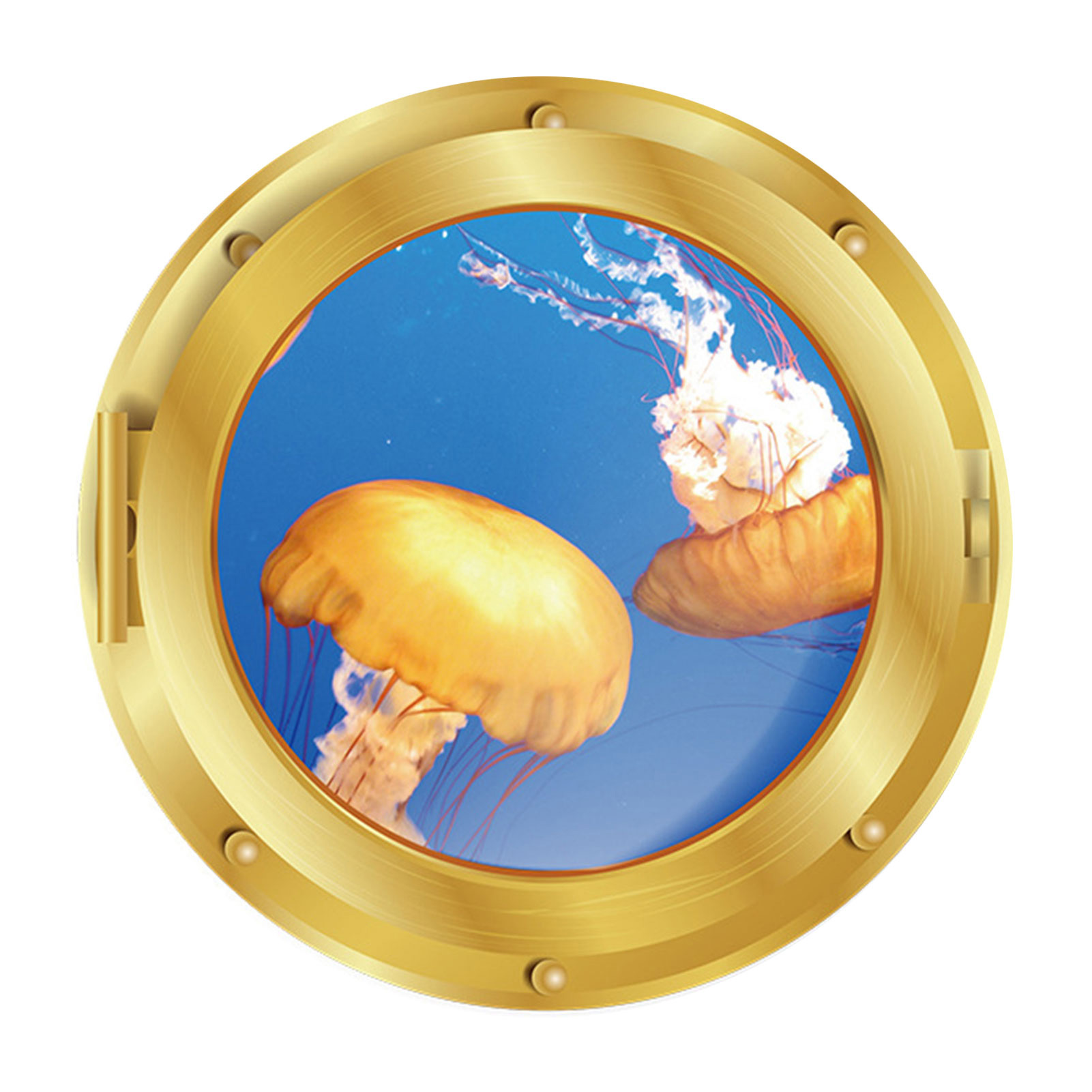 Hesroicy Wall Sticker Selfadhesive Decorative PVC Marine Dolphin 3D