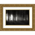 thumbnail image 1 of Hessel, Christoph 24x17 Gold Ornate Wood Framed with Double Matting Museum Art Print Titled - Deer`S Morning, 1 of 4
