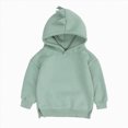 thumbnail image 1 of Hessimy 3-4 Years Toddler Boys Hoodie with 3D Dinosaur Spikes on Hood,Cool Pullover Sweatshirt with Side Slit Hem, 1 of 7