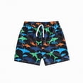thumbnail image 1 of Hessimy Boys Swim Trunks Swim Shorts Quick Dry Bathing Suit Boy Swimwear（Black,3-4 Years), 1 of 1