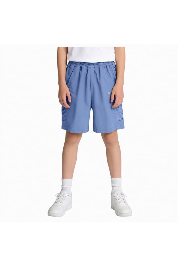 Boys and Toddler Essential Jogger Shorts(Blue,9-10 Years)