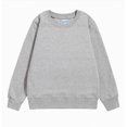 thumbnail image 1 of Hessimy Boys' crew neck sweatshirts - Soft Fleece Sherpa Lined For Boys Cute Oversized Pattern printing sport pullover essentials solid colour (Grey,4-5 Years), 1 of 3