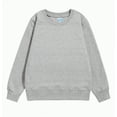 thumbnail image 1 of Hessimy Boys' crew neck sweatshirts - Soft Fleece Sherpa Lined For Boys Cute Oversized Pattern printing sport pullover essentials solid colour (Grey,5-6 Years), 1 of 3