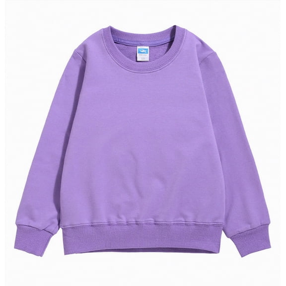 Hessimy Boys' crew neck sweatshirts - Soft Fleece Sherpa Lined For Boys Cute Oversized Pattern printing sport pullover essentials solid colour (Purple,3-4 Years)