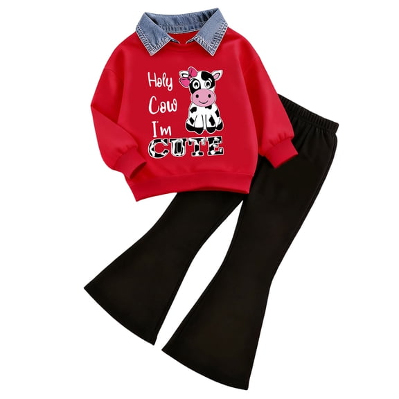 Hessimy Infant Toddler Spring Summer 2Pcs Long Sleeve Pullover Sweatshirt Pants Soft Casual Sweatsuit, Baby Friendly(R,4-5 Years)