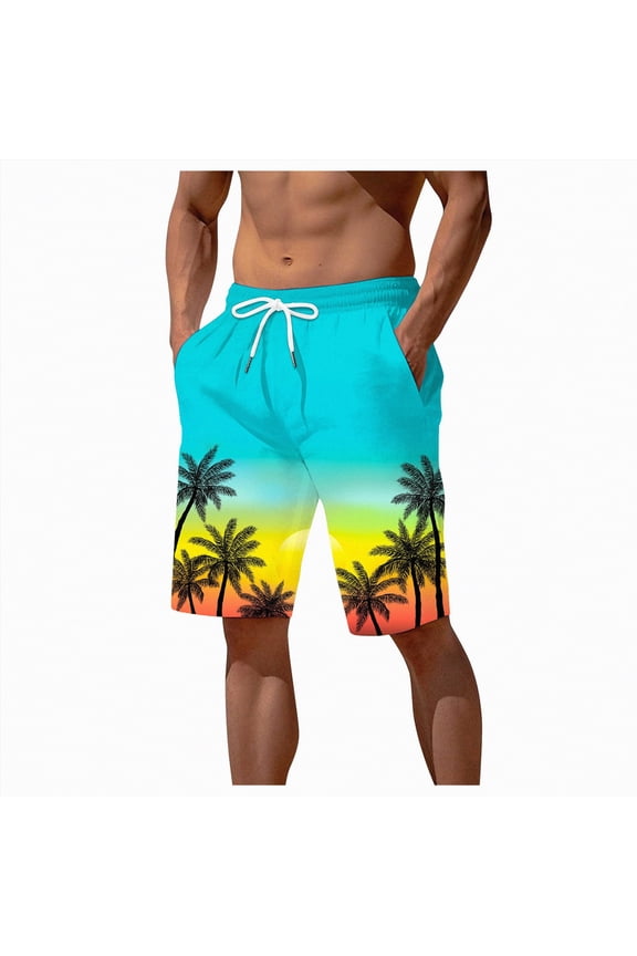 Mens Swim Trunks Quick Dry Bathing Suits for Men Swim Shorts Swimwear,Mens Swimwear(Sky Blue,L)