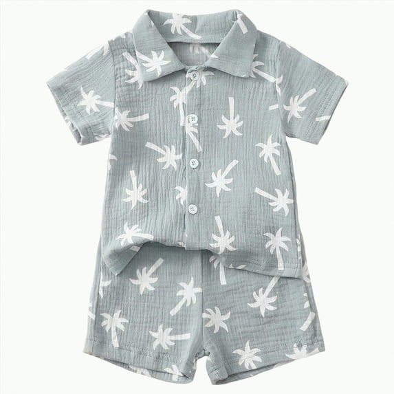 Hessimy Toddler Boy Summer Clothes Hawaiian Outfit Short Sleeve T-shirt Top & Shorts Set(Blue,3-4 Years)
