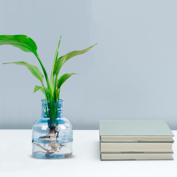 Hesxuno Flower Vase,Glass Vases for Flowers,Transparent Hydroponic Small Potted Plant Pots,Flower Vases for Centerpieces,A Must for Green Plant Lovers,Mini Vases