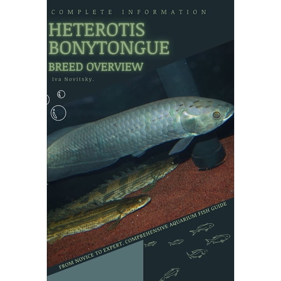 Heterotis bonytongue : From Novice to Expert. Comprehensive Aquarium Fish Guide (Paperback)