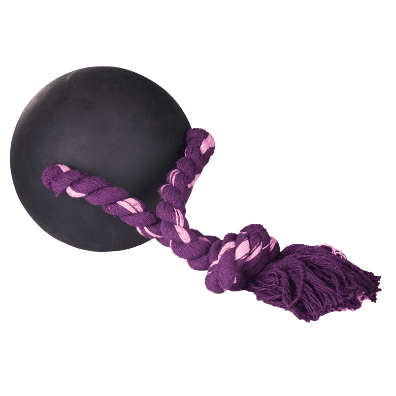 Hevea Pet Natural Rubber Non Toxic EcoTough XL Duraplay Tug Dog Toy