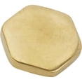 thumbnail image 1 of Hex Brass Radiator Cap, 7 lbs, 1 of 6